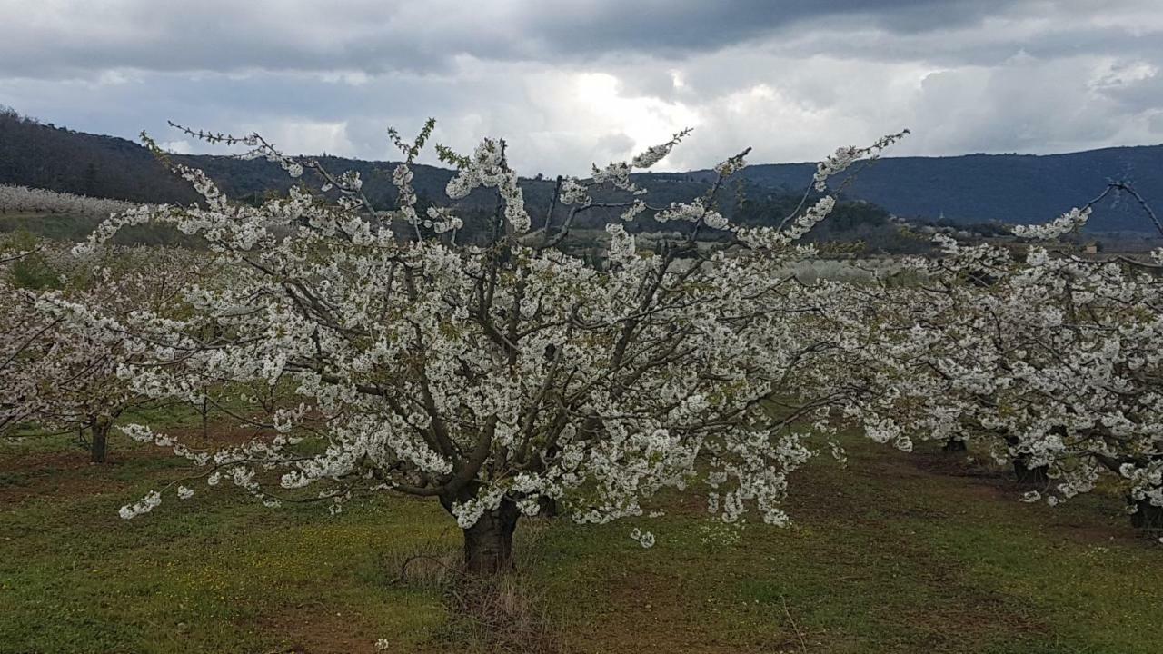 Entre blé et lavande Leilighet Bonnieux Eksteriør bilde